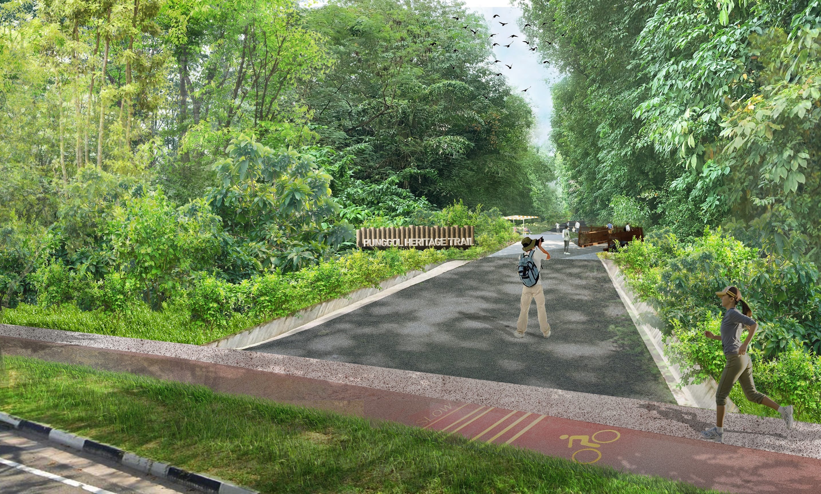 Punggol Heritage Trail: A cyclist, photographer, and jogger enjoy the green, tree-lined path. A sign reading "Punggol Heritage Trail" is visible.
